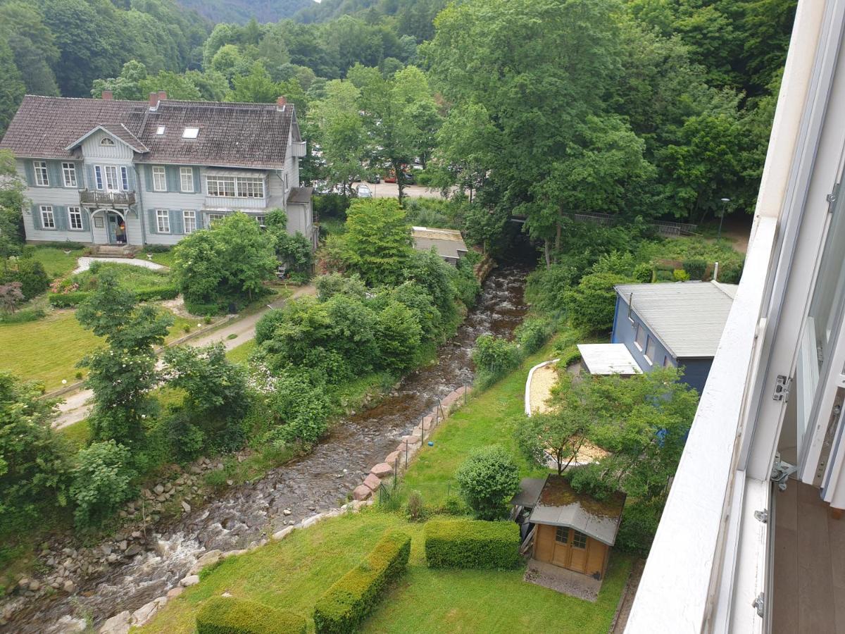Apartz - Bad Harzburg - Apartment Mit Sauna In Idealer Lage Mit Bergblick Luaran gambar