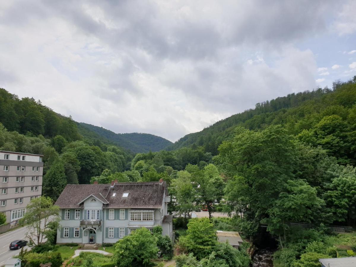 Apartz - Bad Harzburg - Apartment Mit Sauna In Idealer Lage Mit Bergblick Luaran gambar